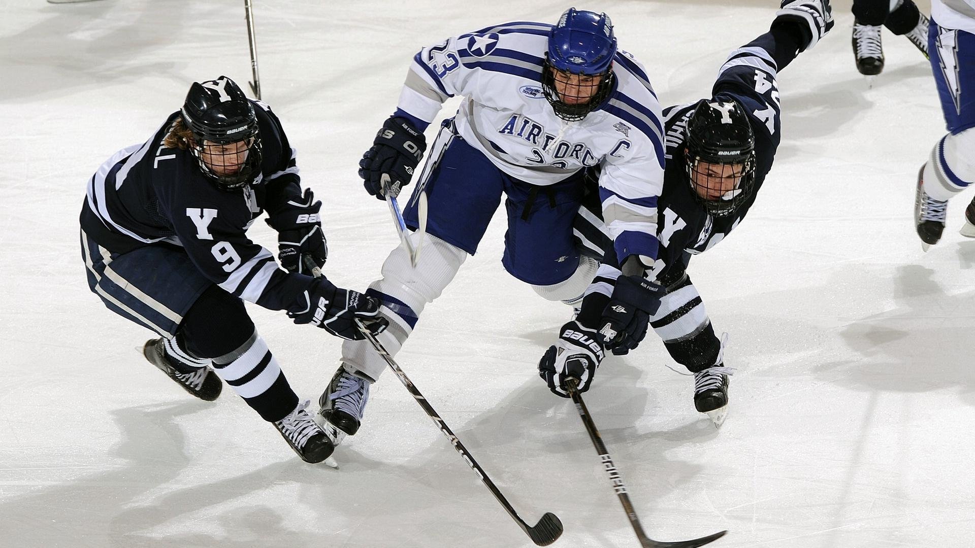 日本女泳队自由泳划频稳定，节奏精准，日本全浸自由泳