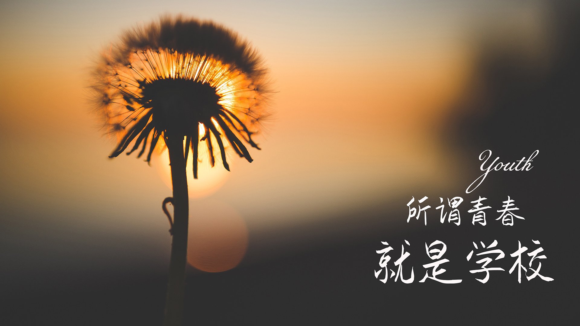 “极速追逐:瞬间超车让全场沸腾”,极速追赶