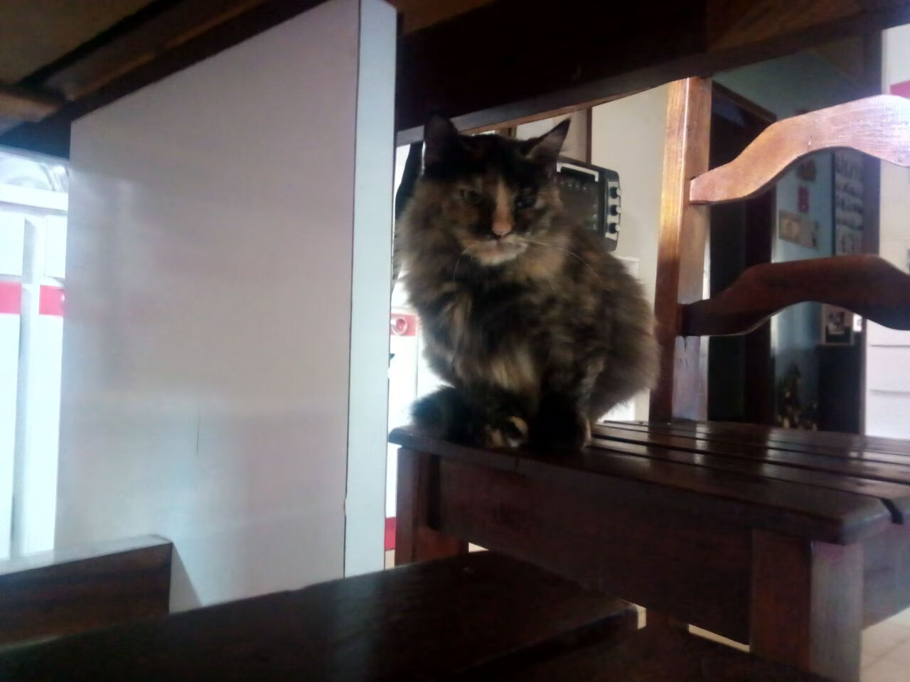 开云全站下载-【逆境战役】球队X在落后3分情况下绝地反击，逆境战场