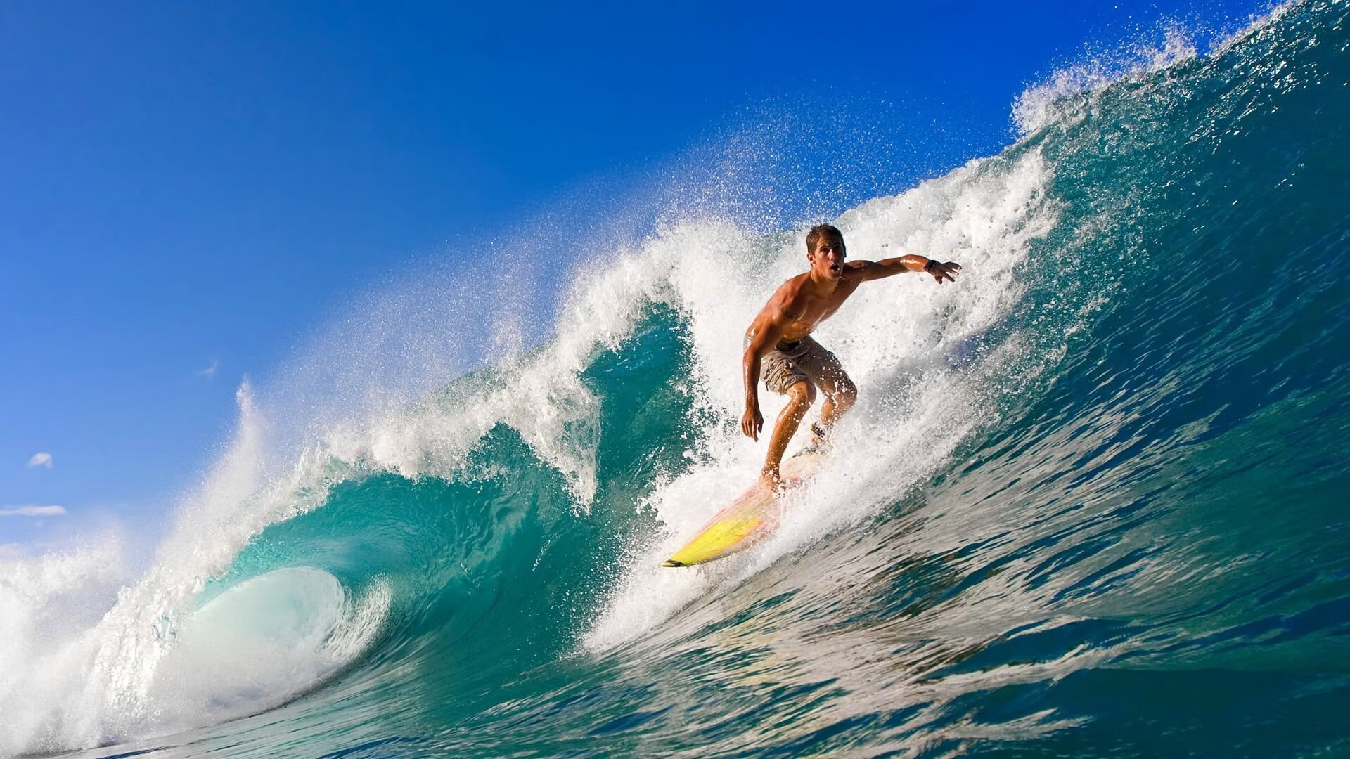 开云·体育官网APP下载-澳大利亚袋鼠队挑战强敌，能否重返橄榄球之巅？，在澳大利亚人眼里,袋鼠军团就是这样一支队伍